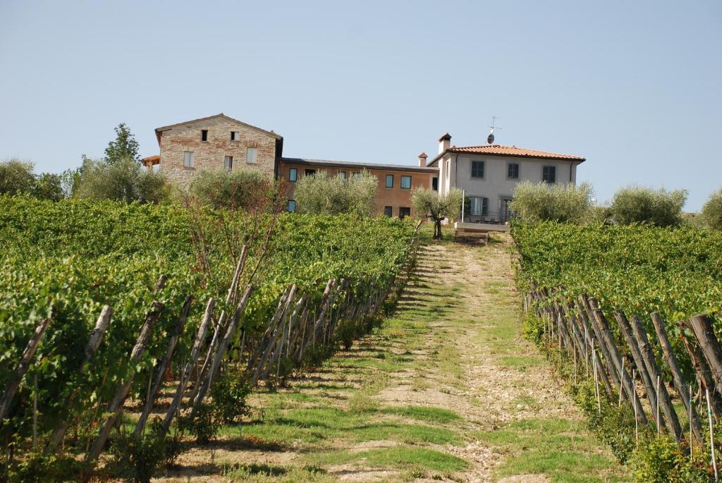 Roccafiore Wine Resort & Spa Todi Exterior photo